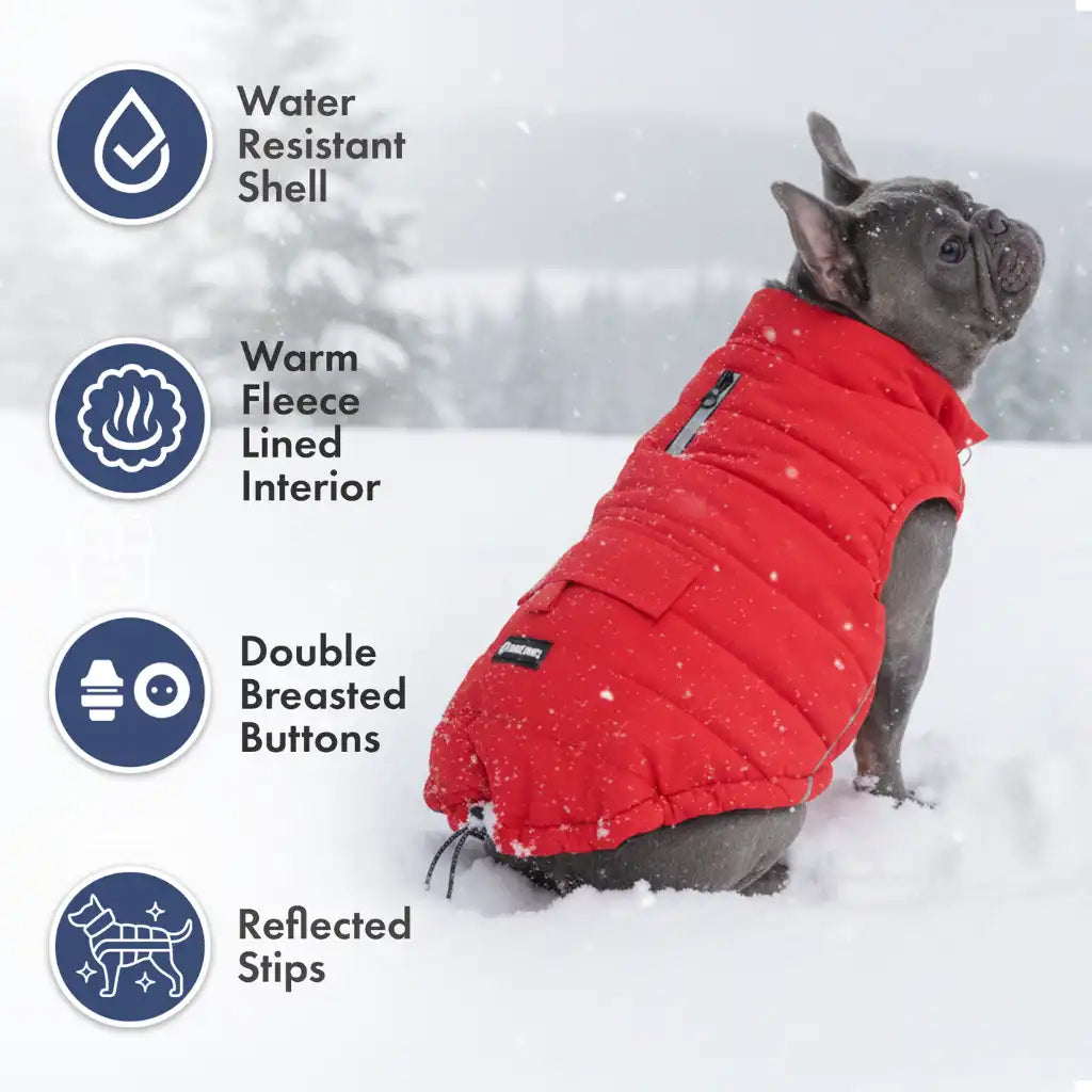 sparkpawsmaut.com