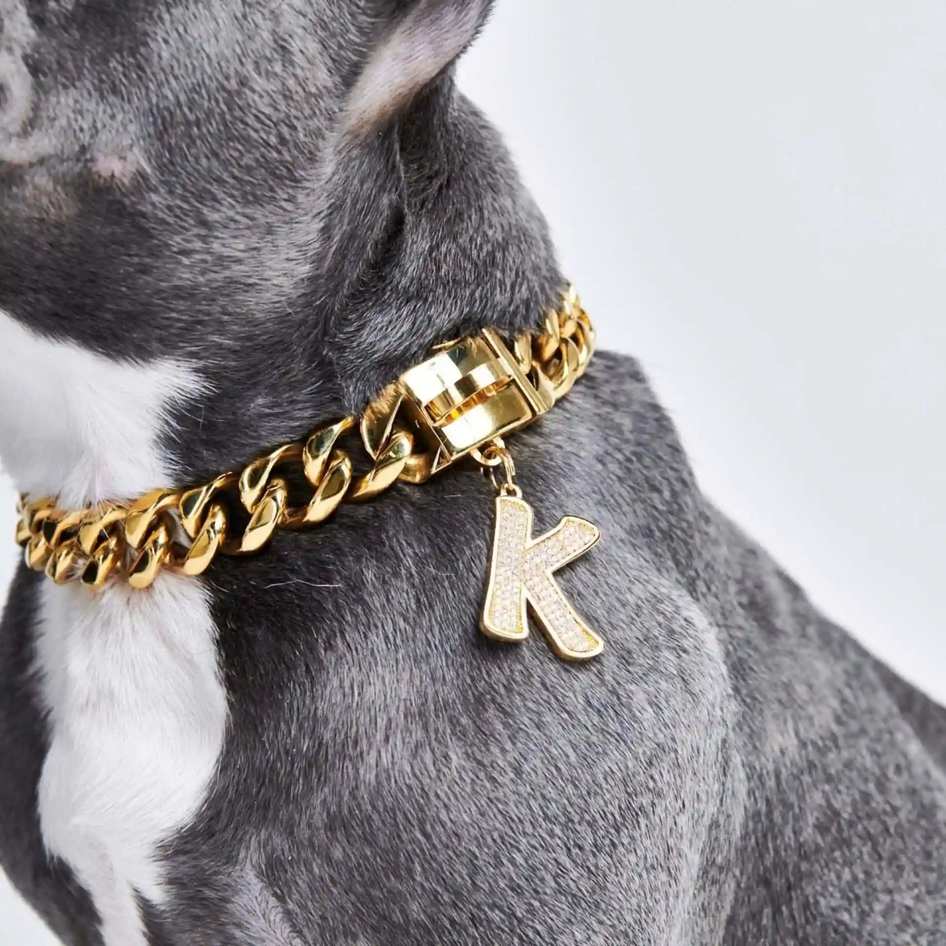 sparkpawsmaut.com