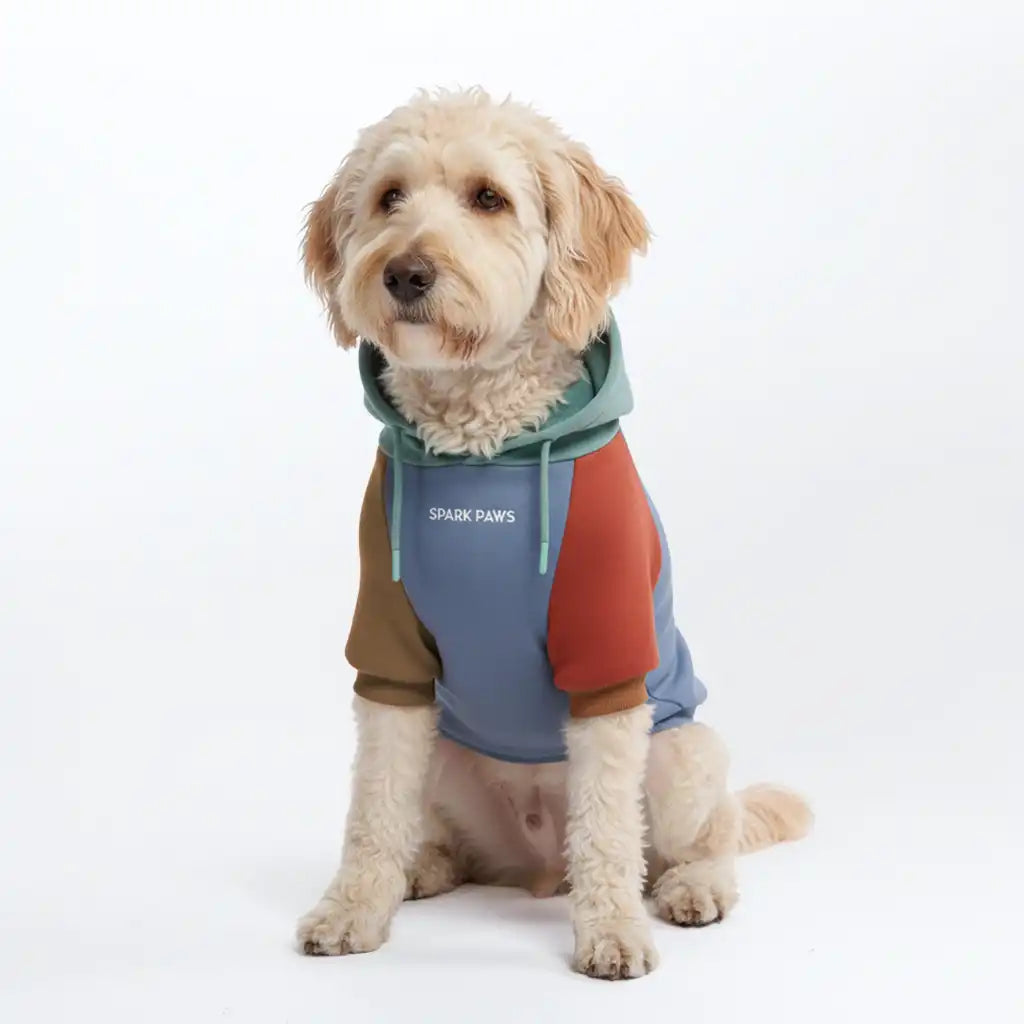 sparkpawsmaut.com