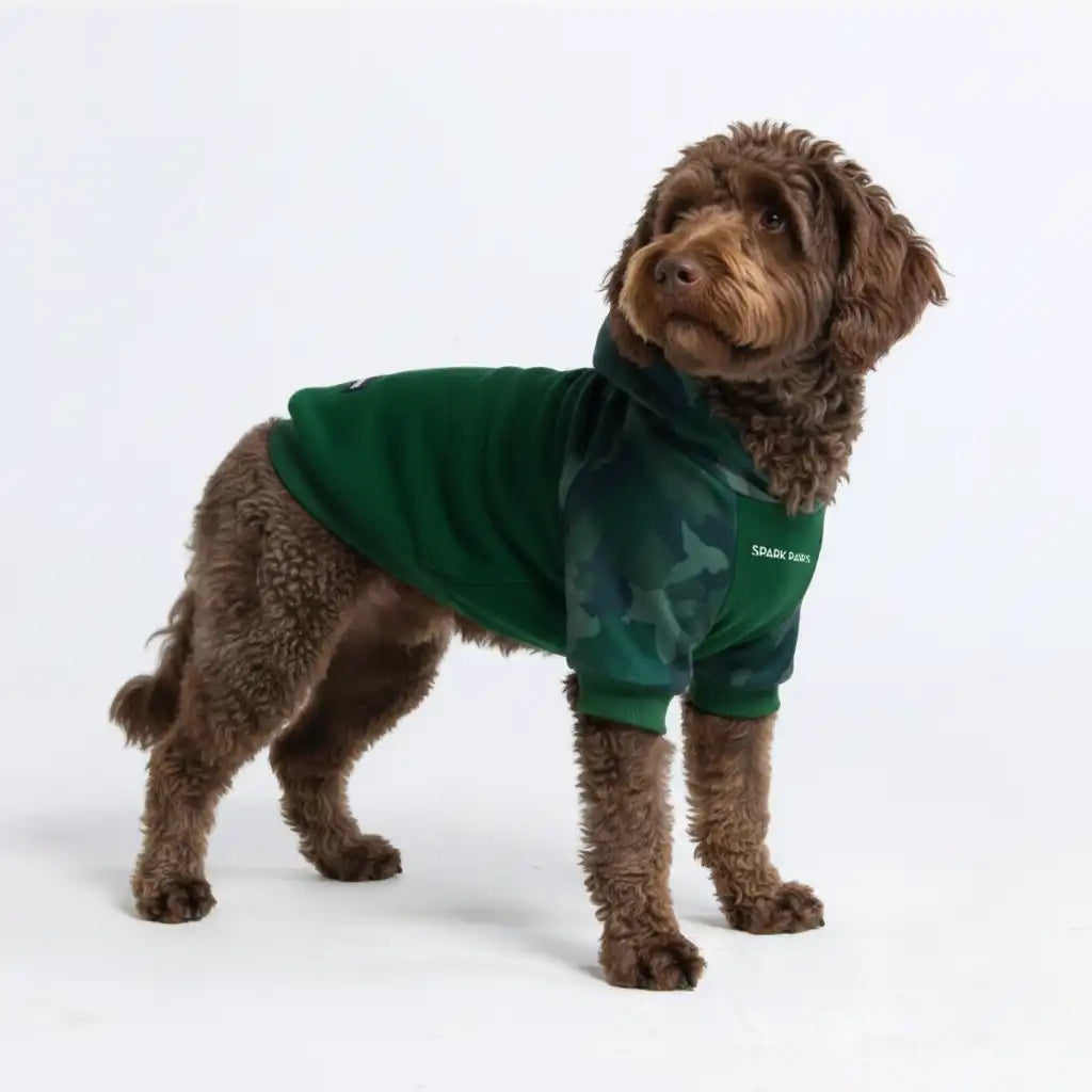 sparkpawsmaut.com