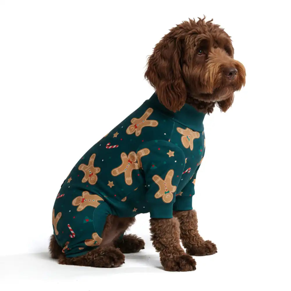 sparkpawsmaut.com