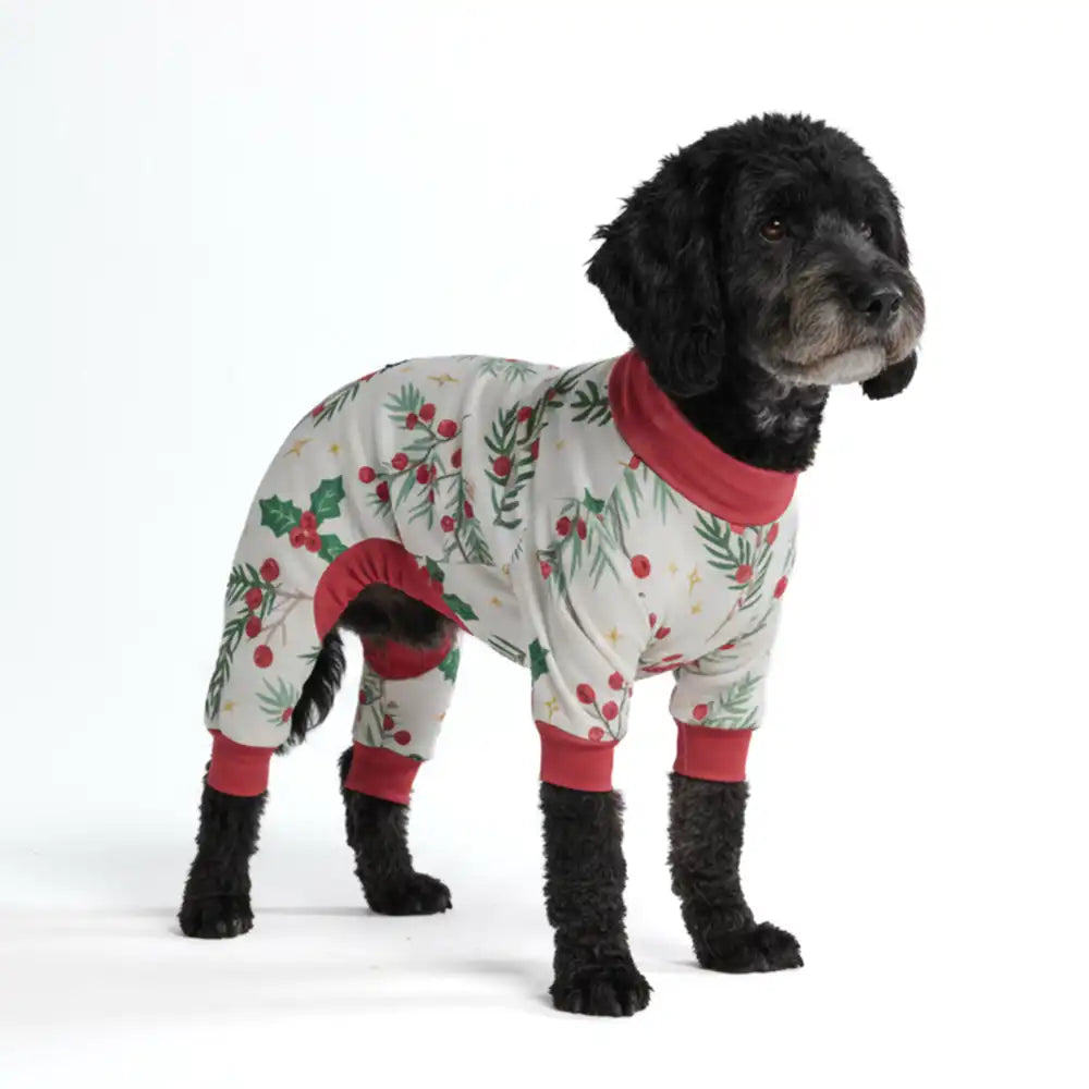 sparkpawsmaut.com