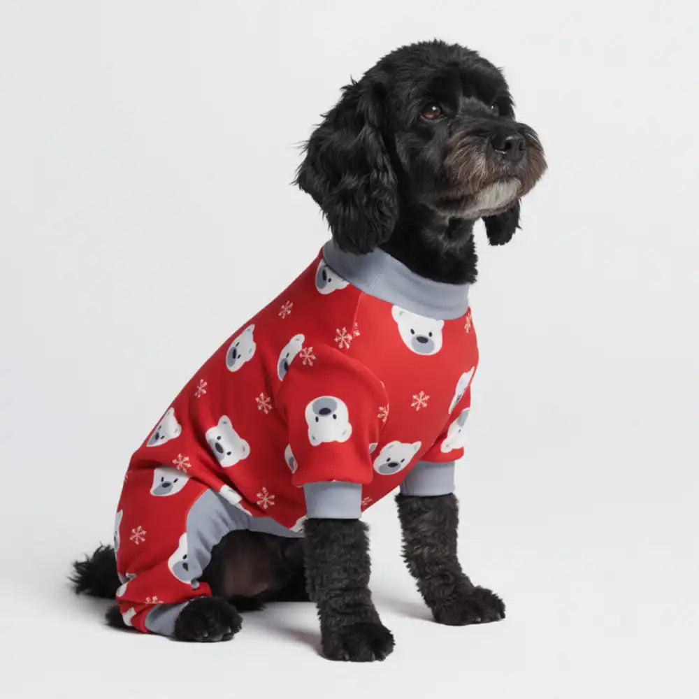 sparkpawsmaut.com