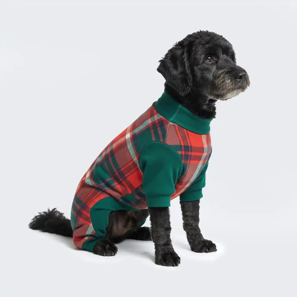 sparkpawsmaut.com