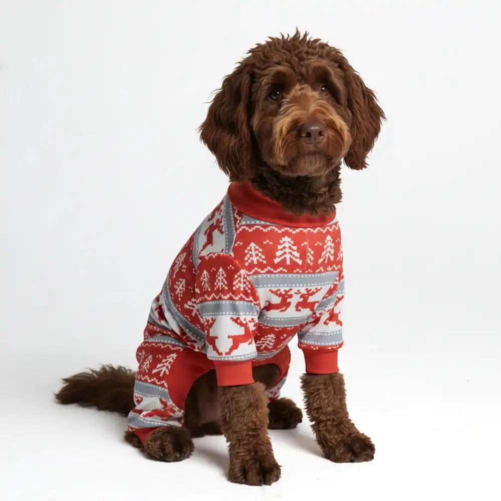 sparkpawsmaut.com