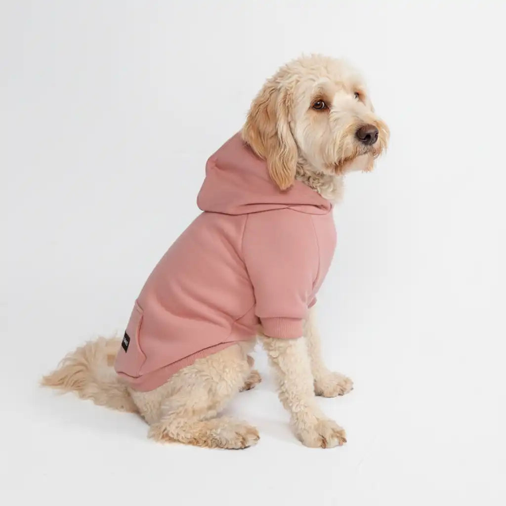 sparkpawsmaut.com