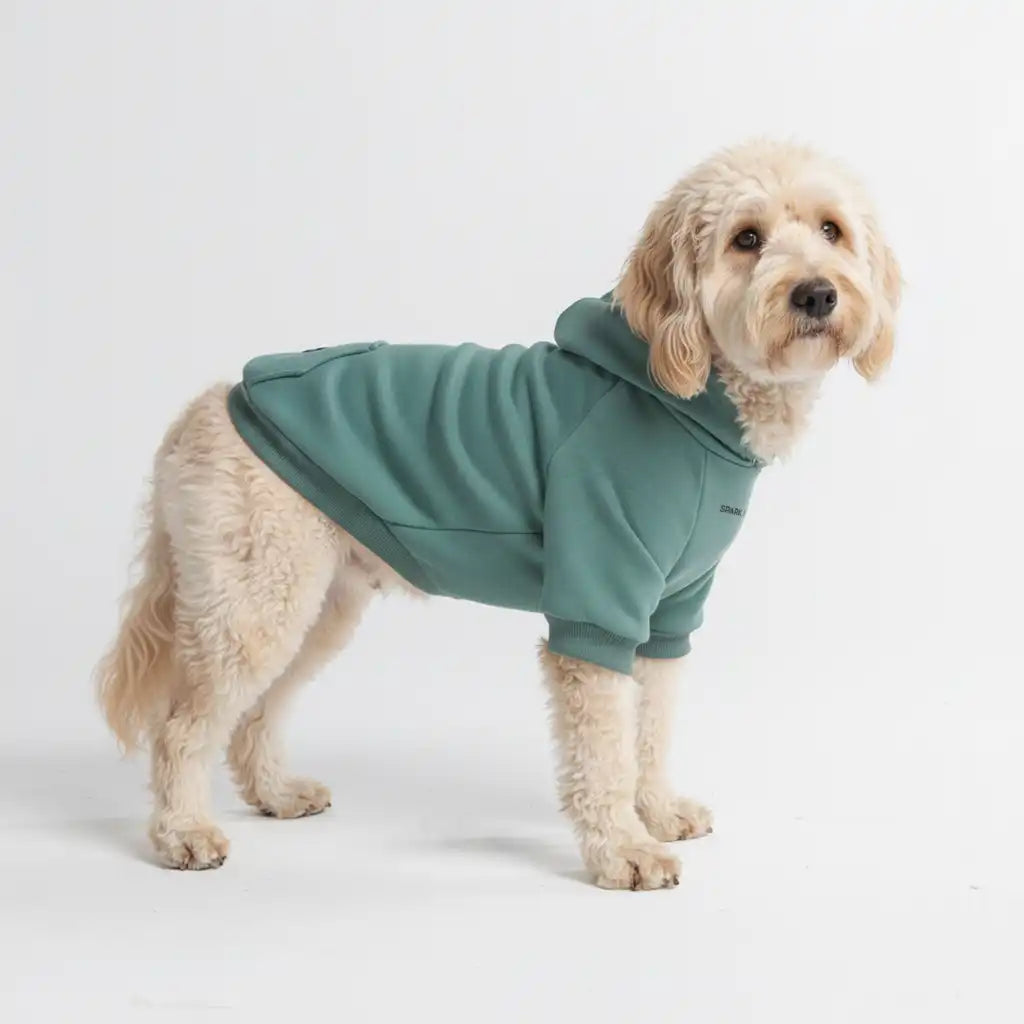sparkpawsmaut.com