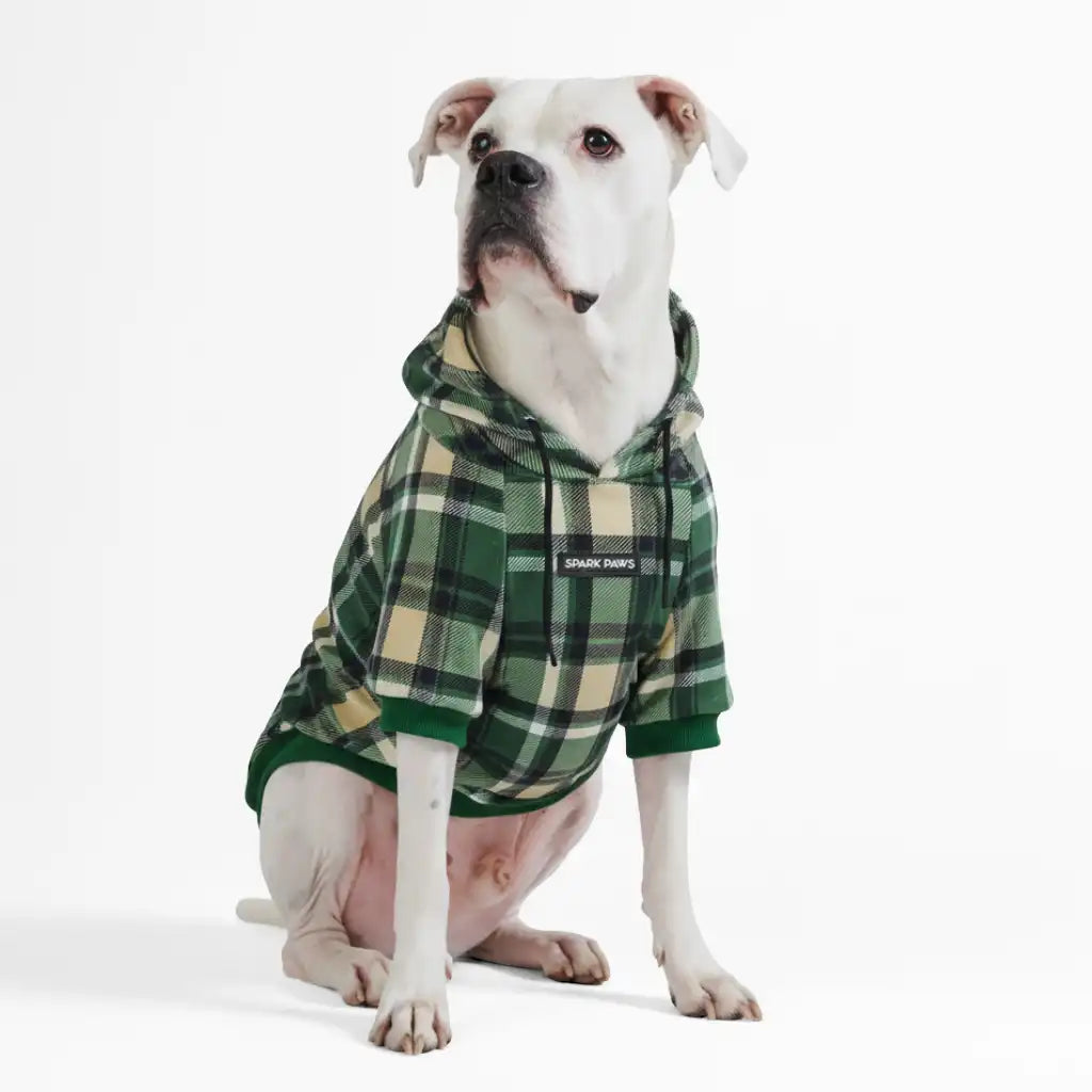 sparkpawsmaut.com