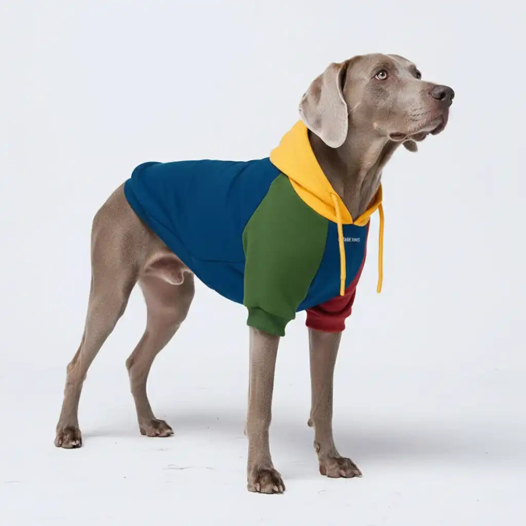 sparkpawsmaut.com