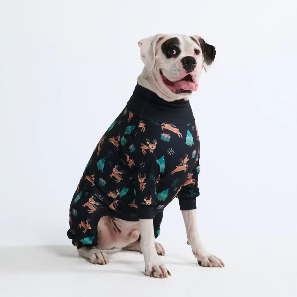 sparkpawsmaut.com