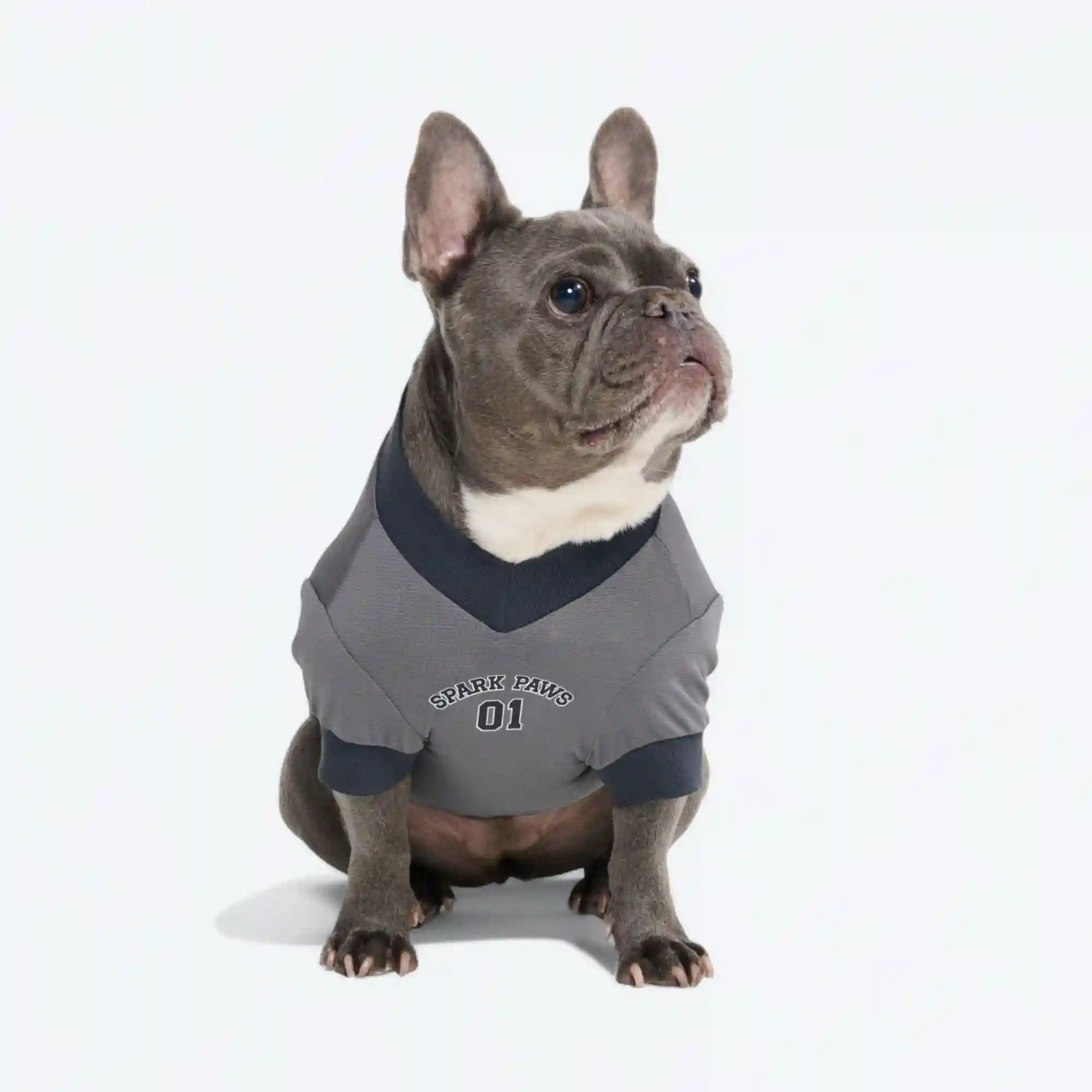 sparkpawsmaut.com