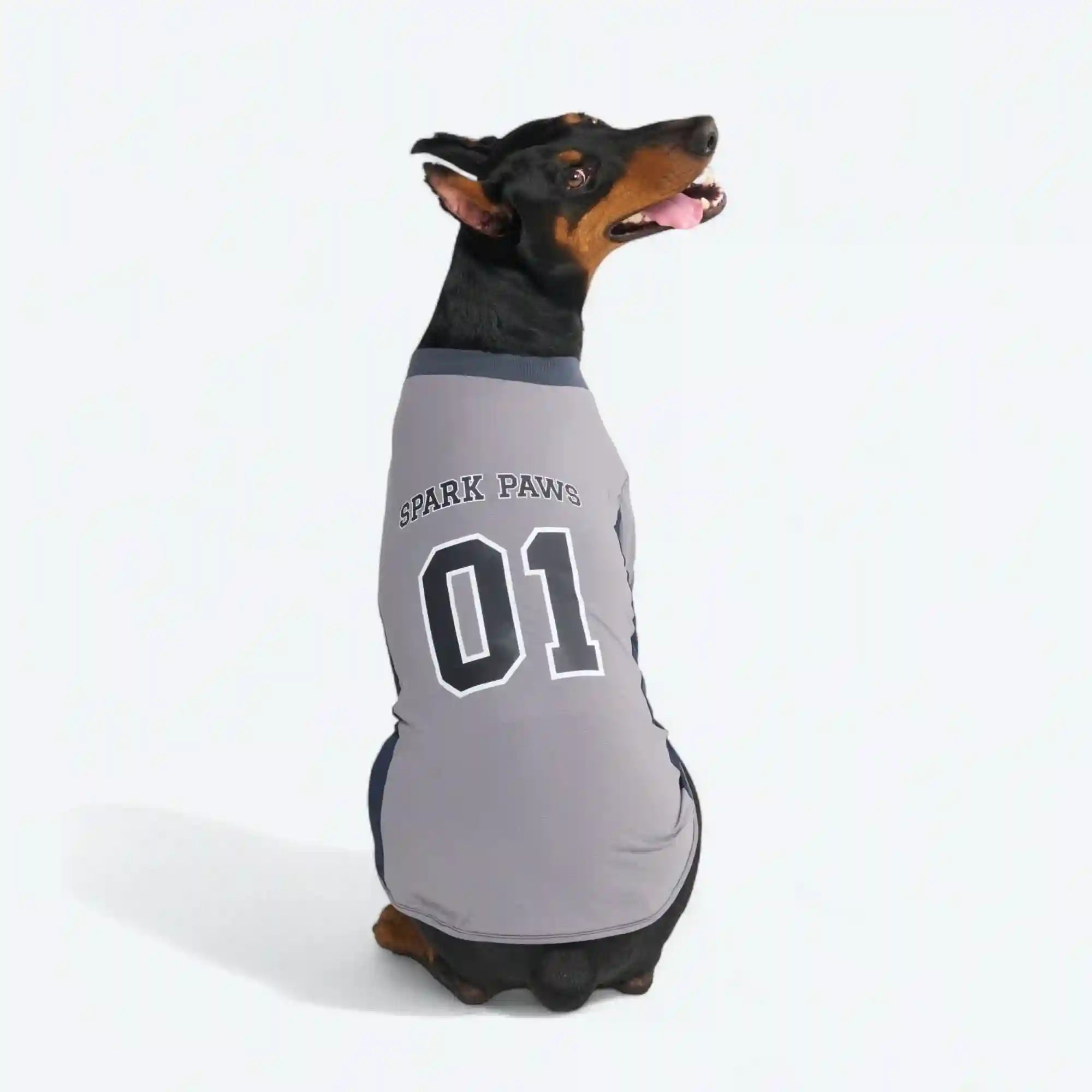 sparkpawsmaut.com