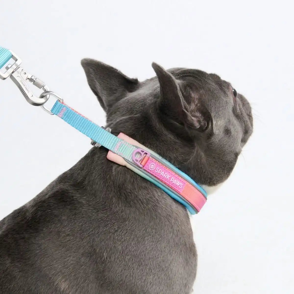 sparkpawsmaut.com
