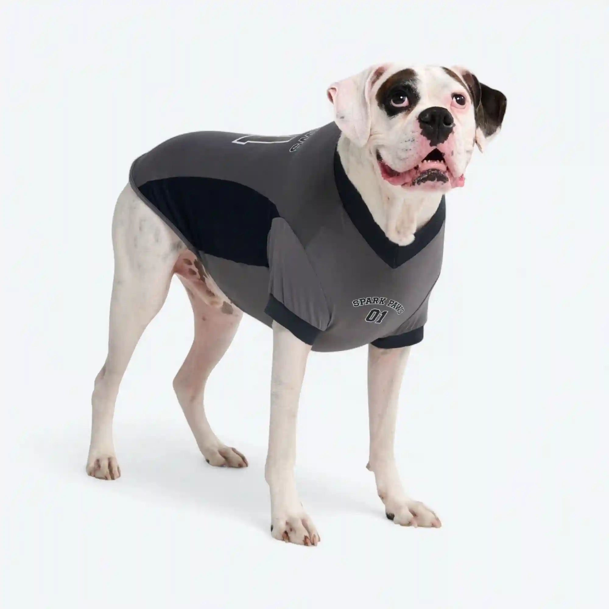 sparkpawsmaut.com