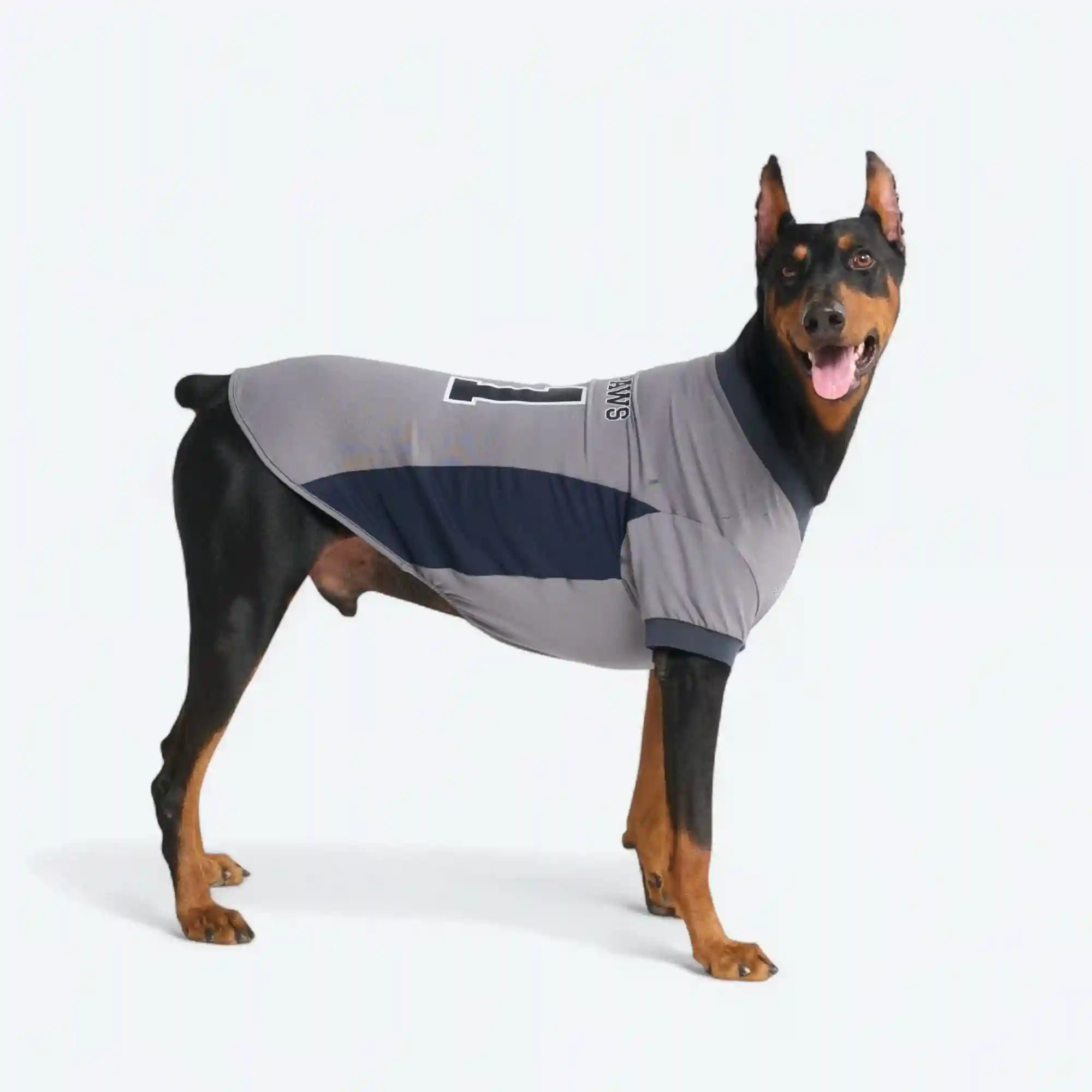 sparkpawsmaut.com