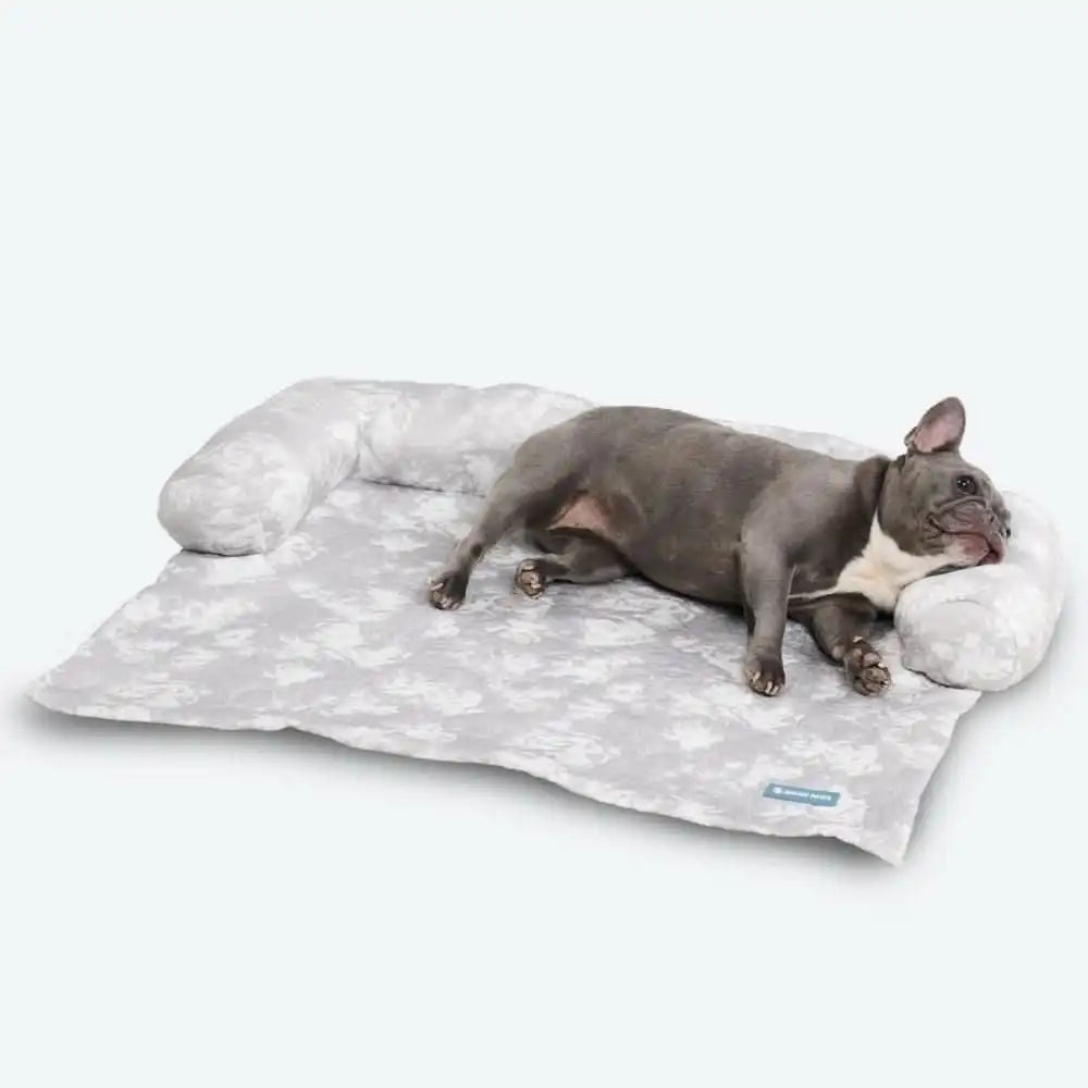 sparkpawsmaut.com