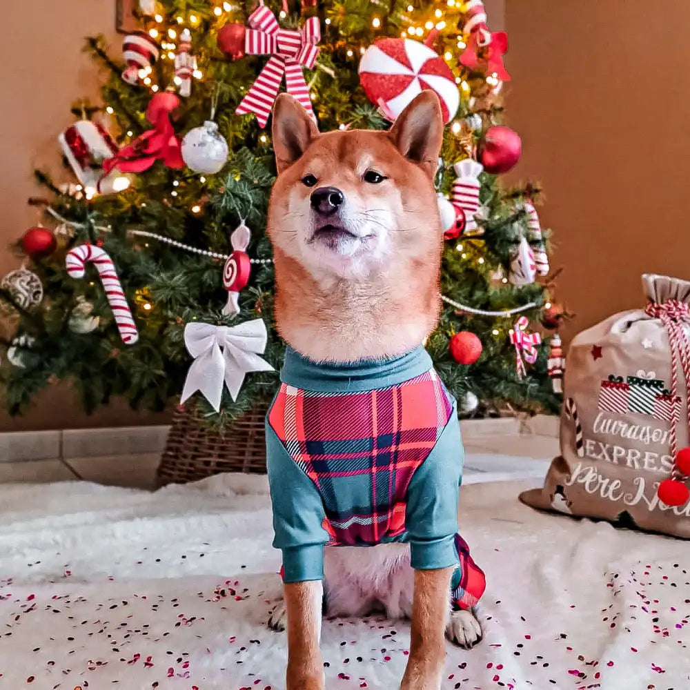 sparkpawsmaut.com
