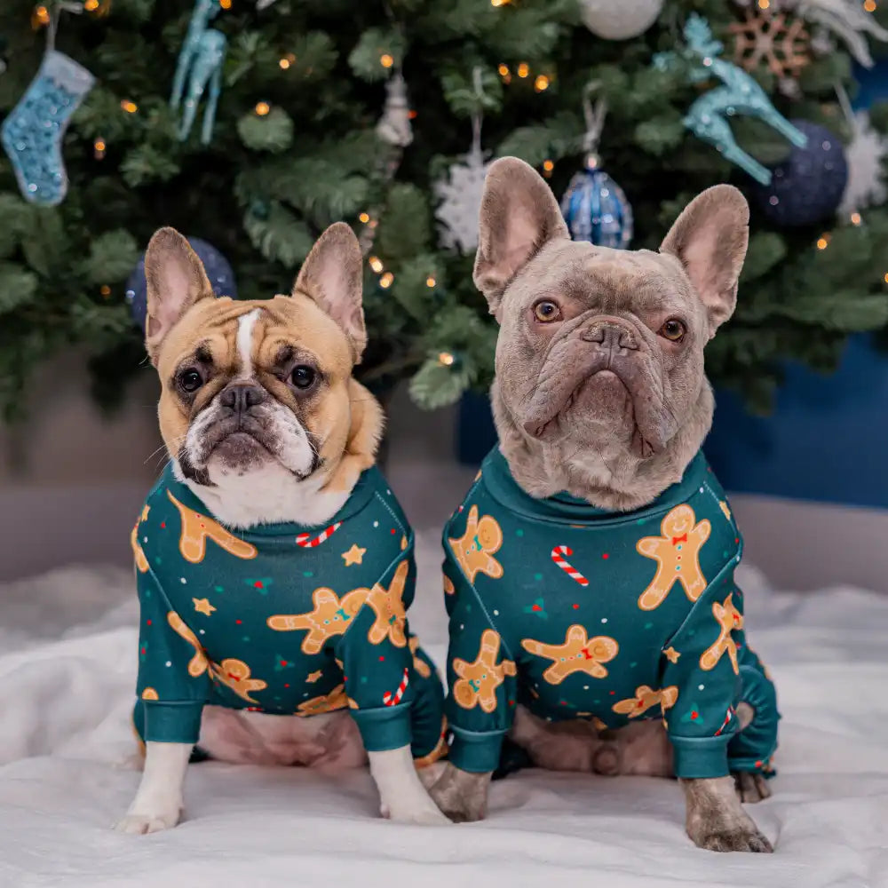 sparkpawsmaut.com
