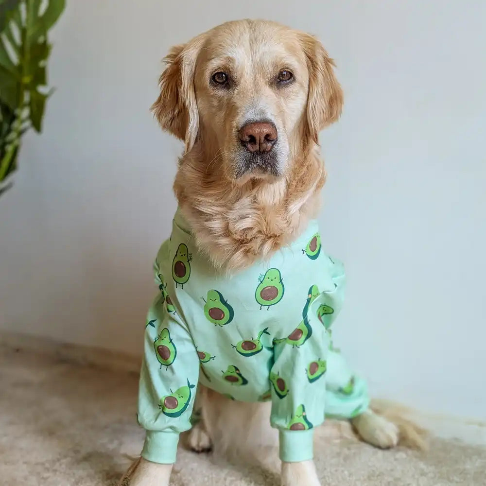 sparkpawsmaut.com