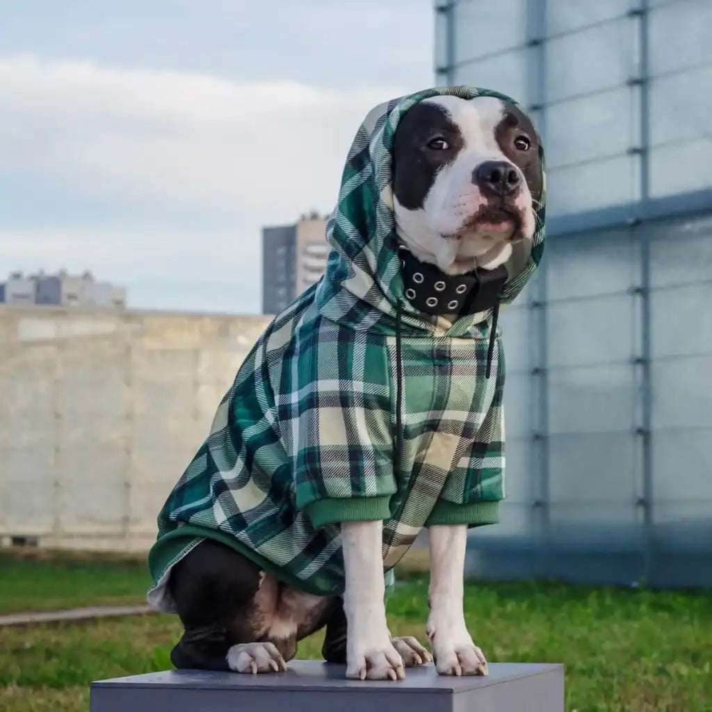 sparkpawsmaut.com