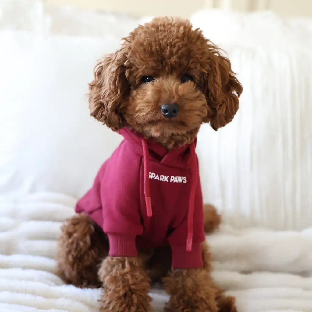sparkpawsmaut.com