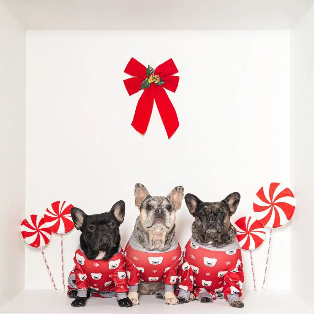sparkpawsmaut.com
