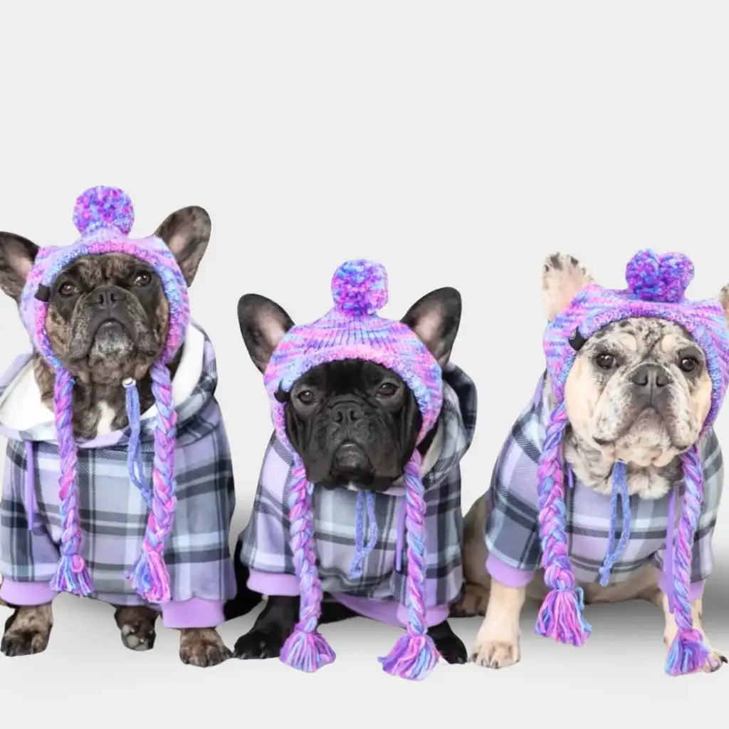 sparkpawsmaut.com