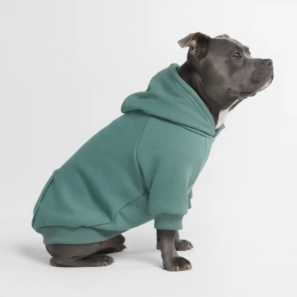 sparkpawsmaut.com