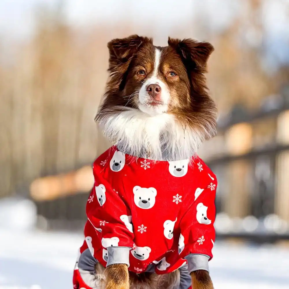 sparkpawsmaut.com