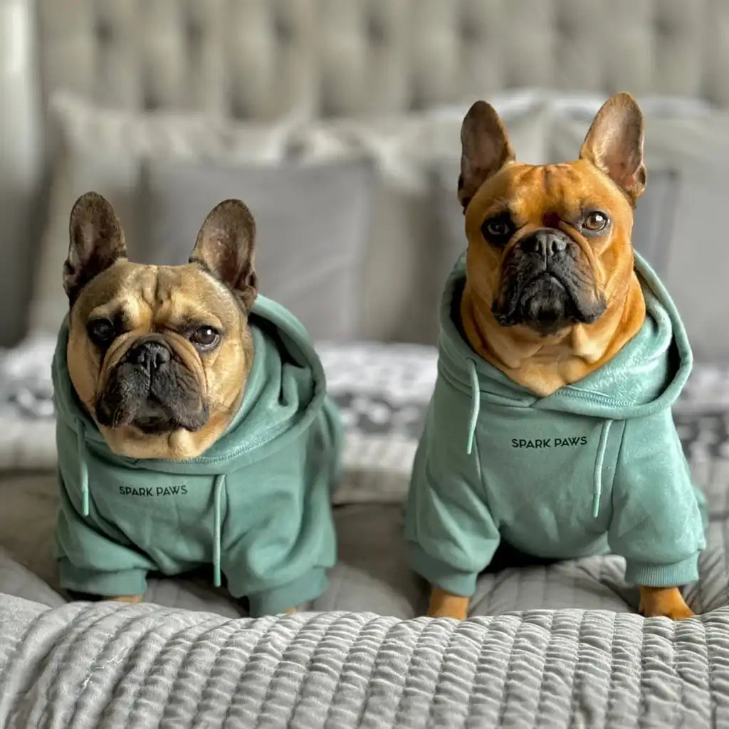 sparkpawsmaut.com