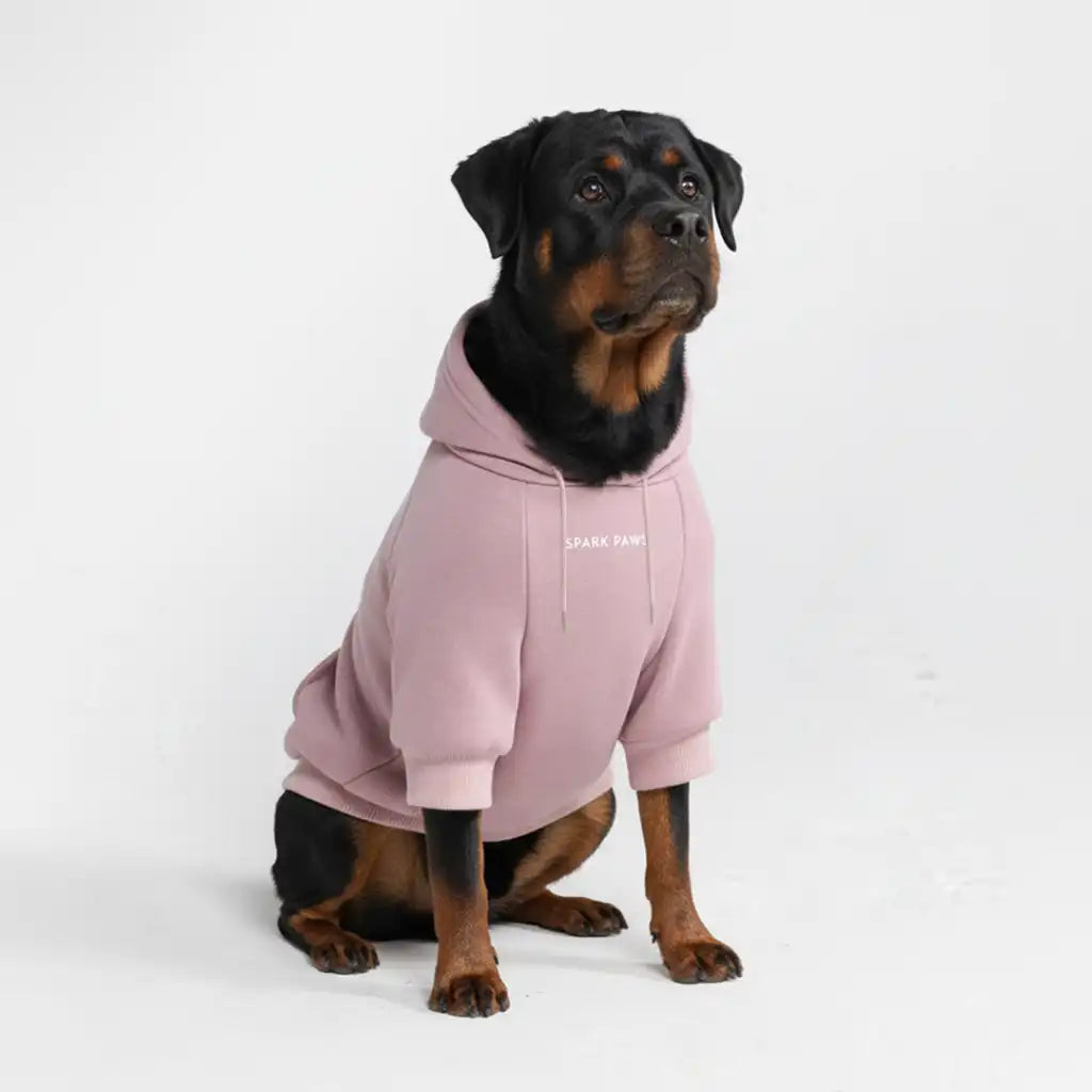 sparkpawsmaut.com