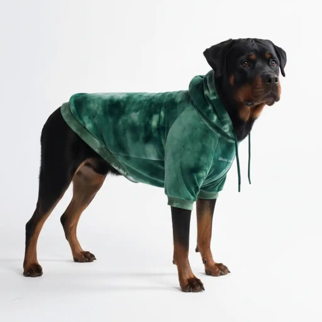 sparkpawsmaut.com