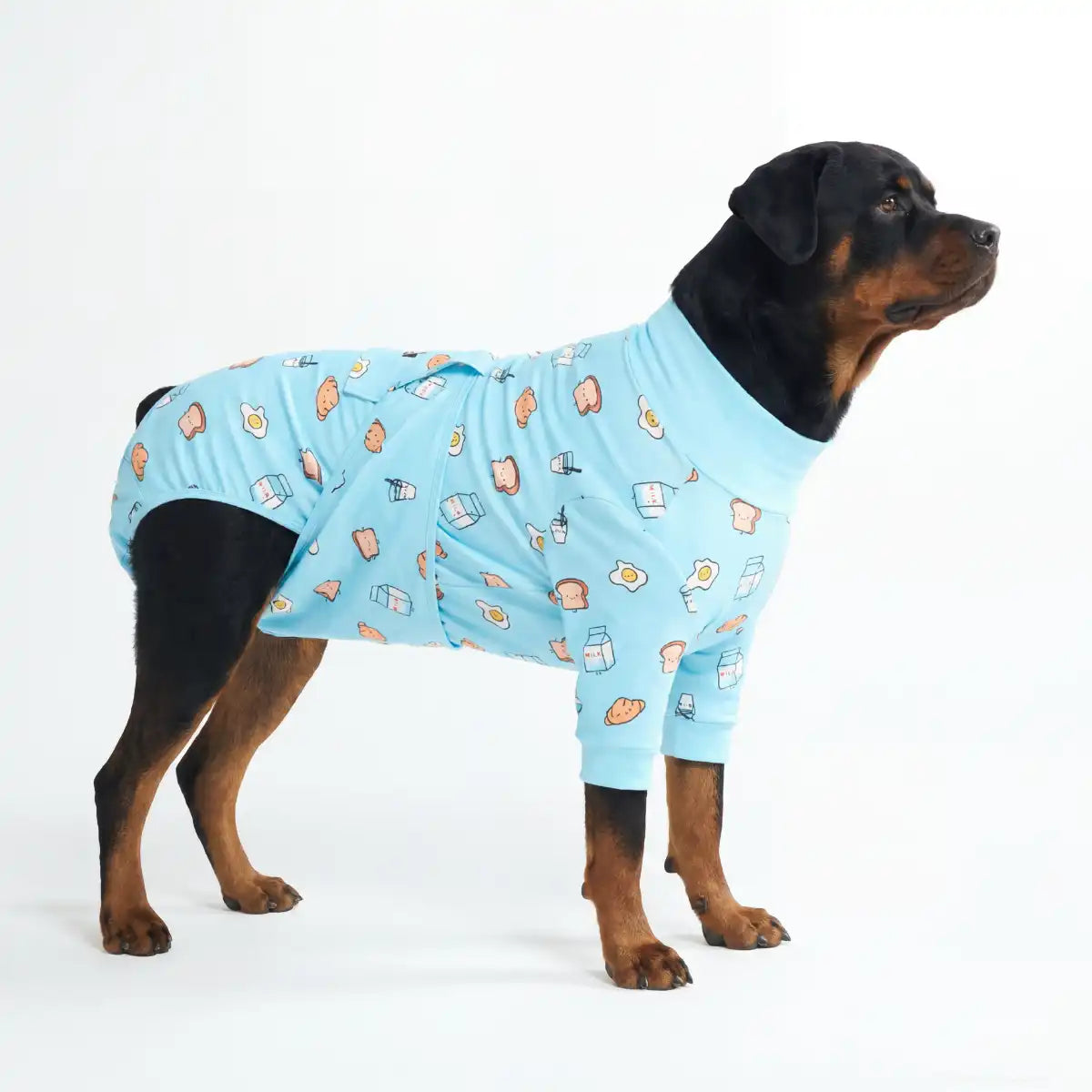 sparkpawsmaut.com