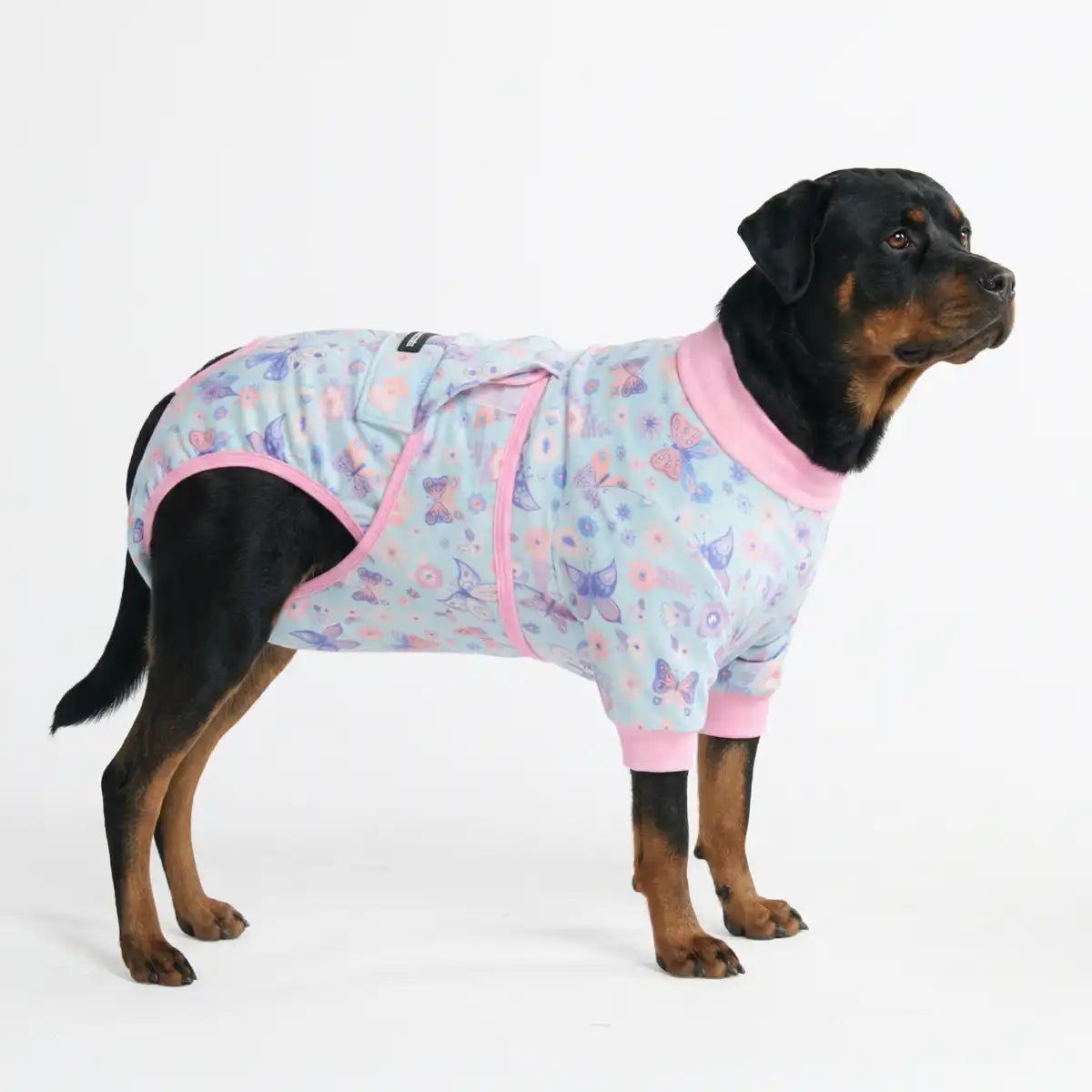 sparkpawsmaut.com