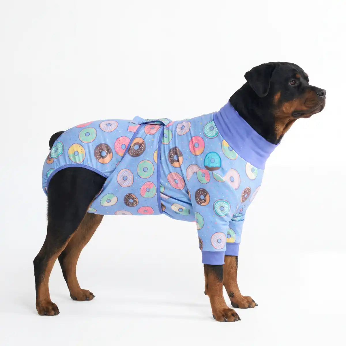 sparkpawsmaut.com