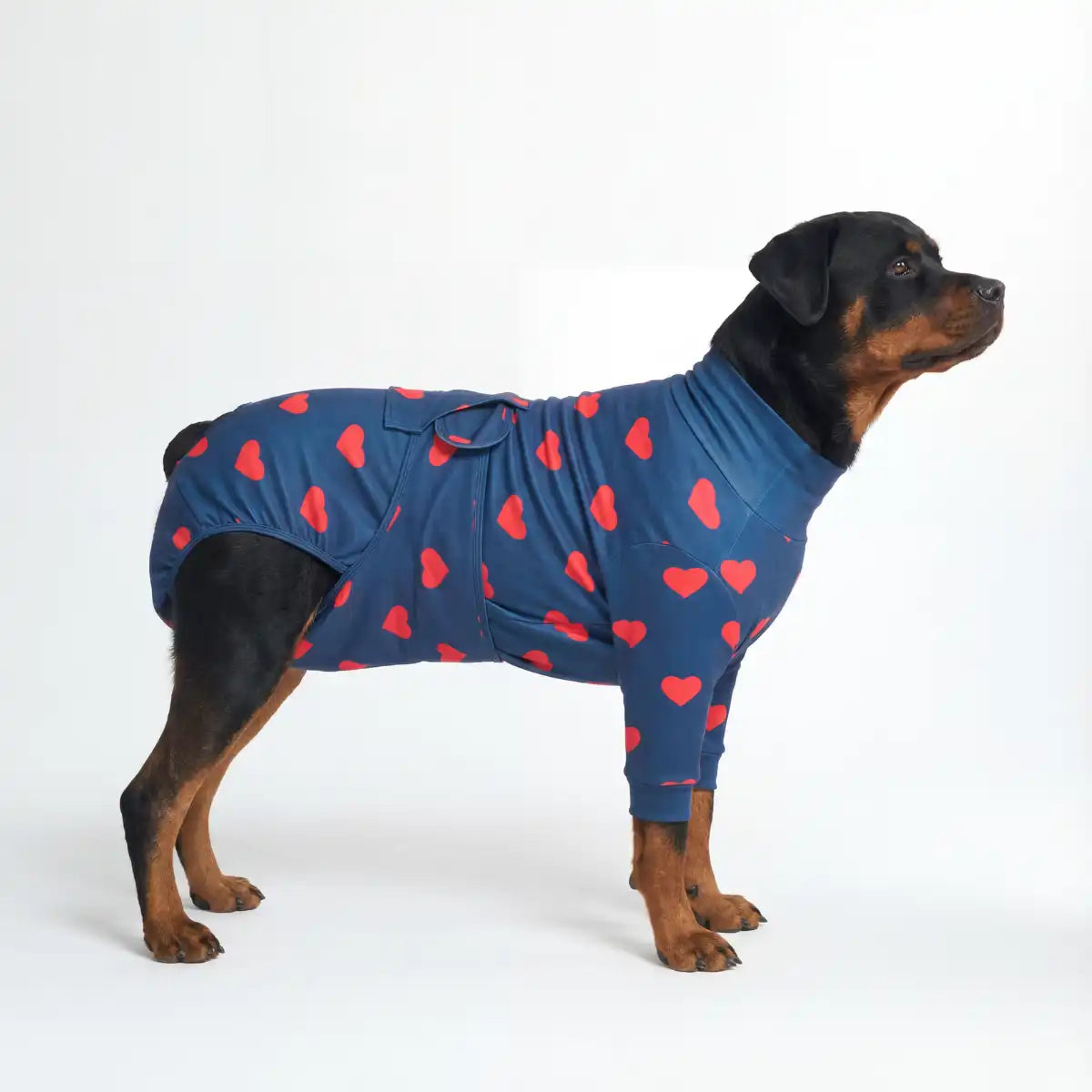 sparkpawsmaut.com