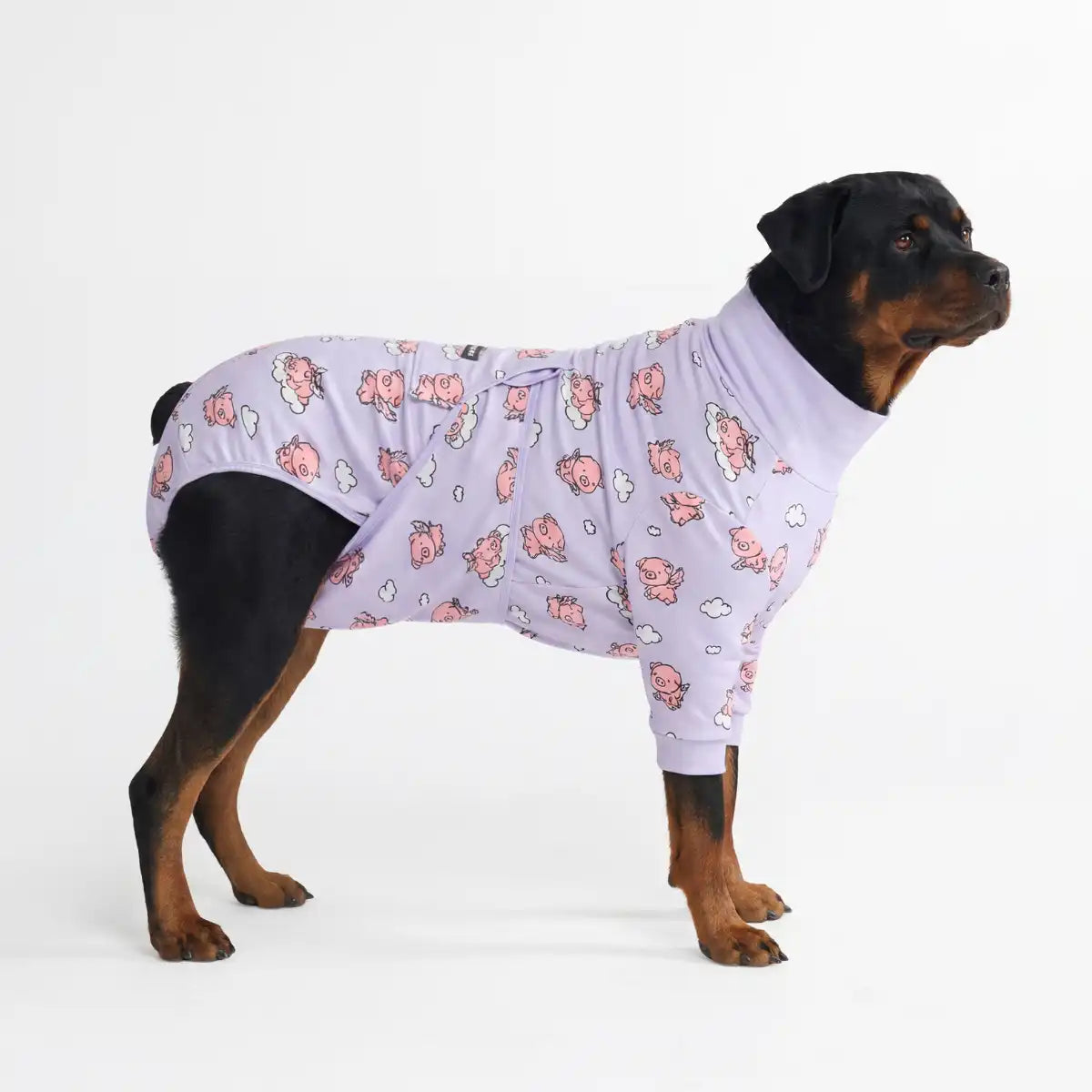 sparkpawsmaut.com