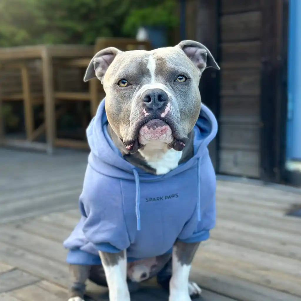sparkpawsmaut.com