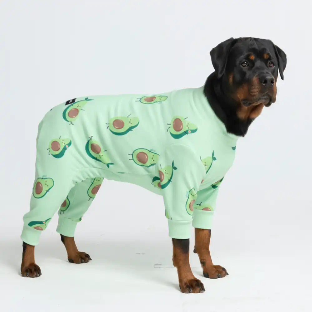 sparkpawsmaut.com