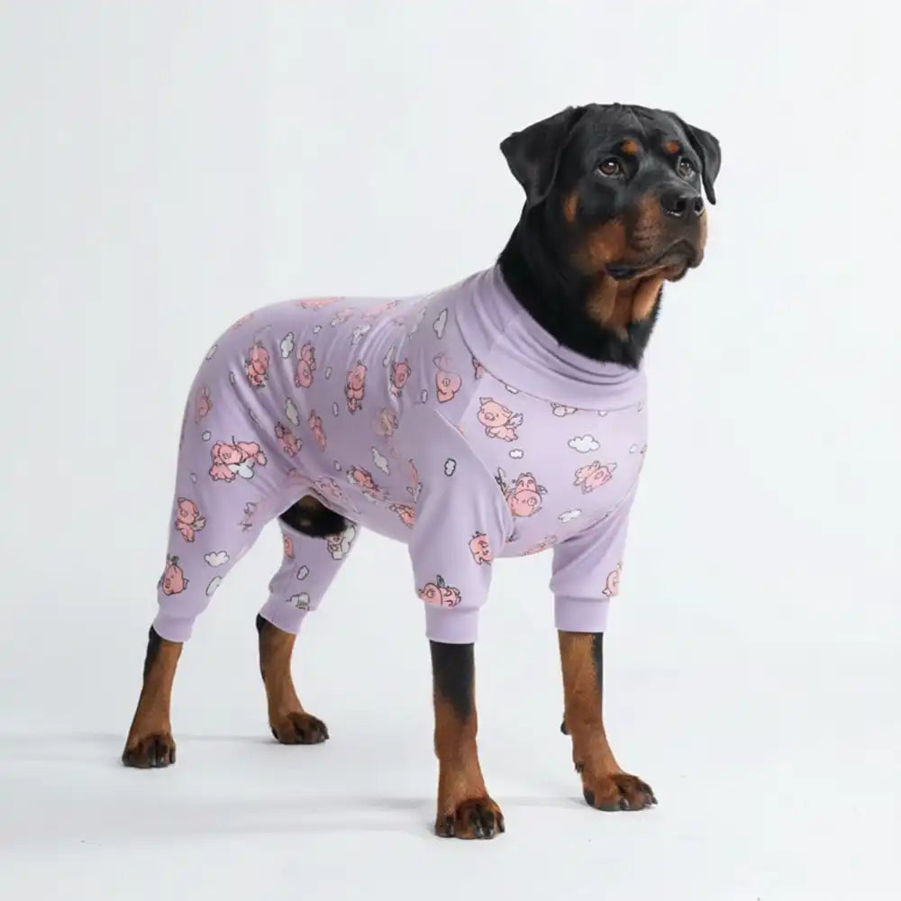 sparkpawsmaut.com