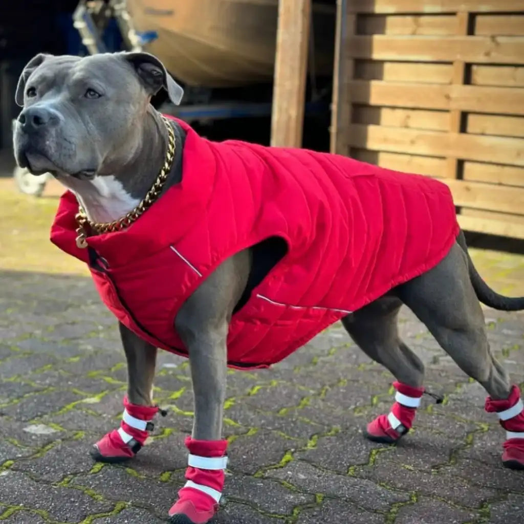 sparkpawsmaut.com