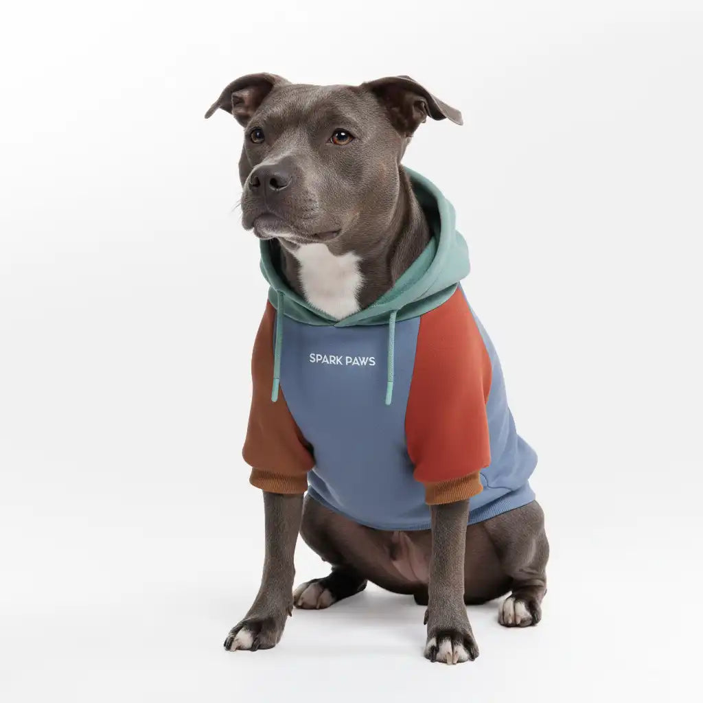 sparkpawsmaut.com