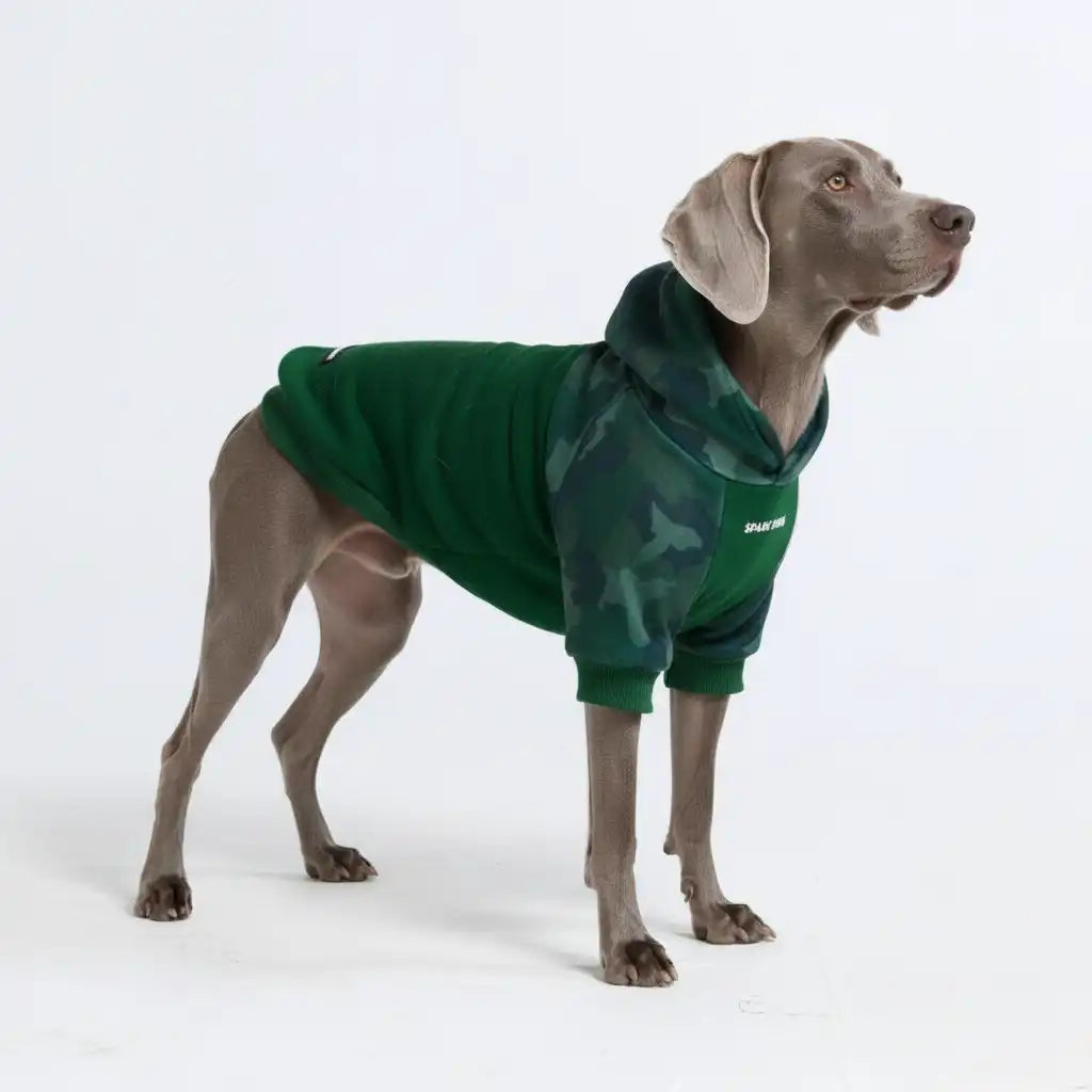 sparkpawsmaut.com