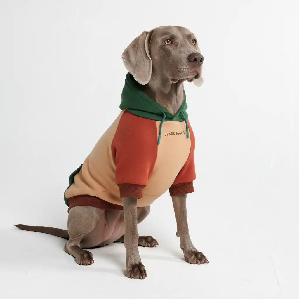 sparkpawsmaut.com