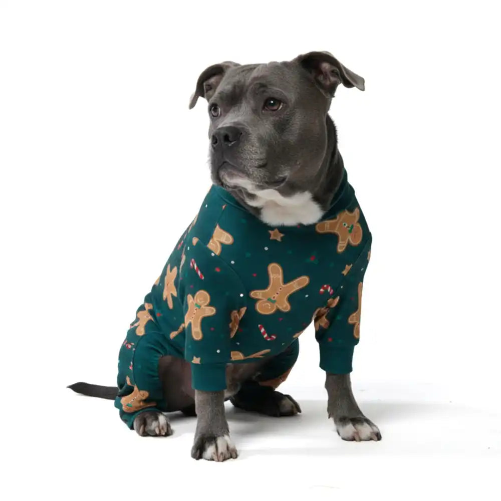 sparkpawsmaut.com