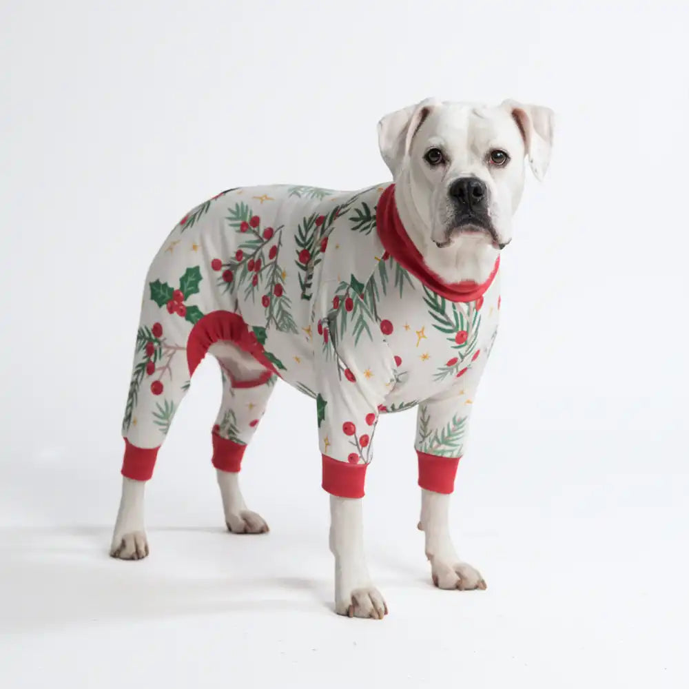 sparkpawsmaut.com