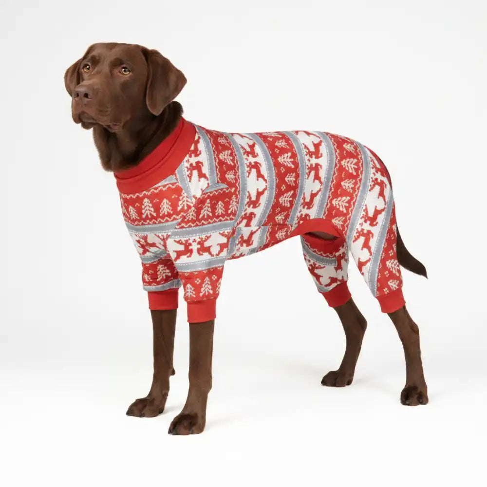 sparkpawsmaut.com