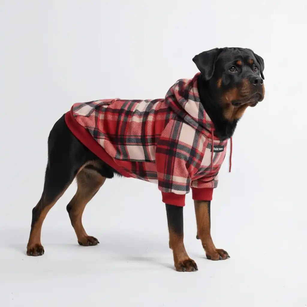 sparkpawsmaut.com