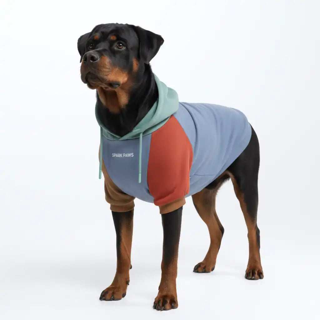 sparkpawsmaut.com