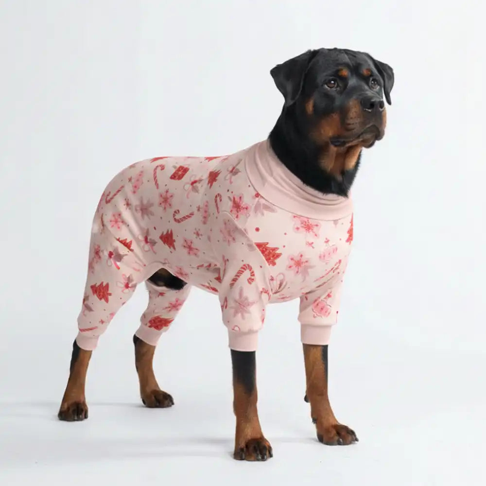 sparkpawsmaut.com